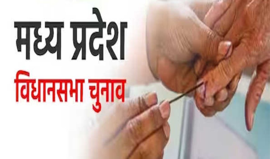 मध्यप्रदेश : वोट देने में भोपाल पिछड़ा, कई आदिवासी इलाकों में 80 फीसदी से ज्यादा मतदान