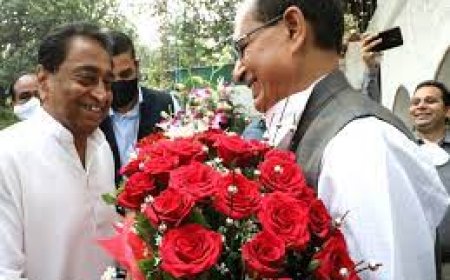 MP Election Results : कमलनाथ ने स्वीकार की हार, बीजेपी को दी बधाई