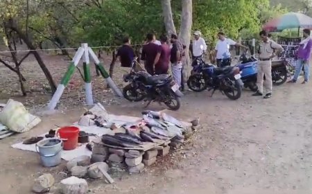 मध्य प्रदेश की राजधानी भोपाल में मेंन रोड पर बेचा जा रहा है मांस