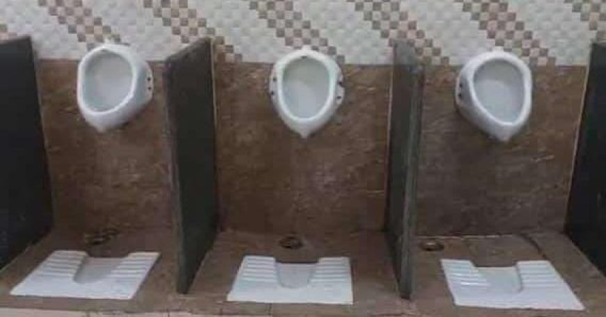 सीएम राइज स्कूल के गर्ल्स टॉयलेट को बना दिया बॉयज टायलेट,